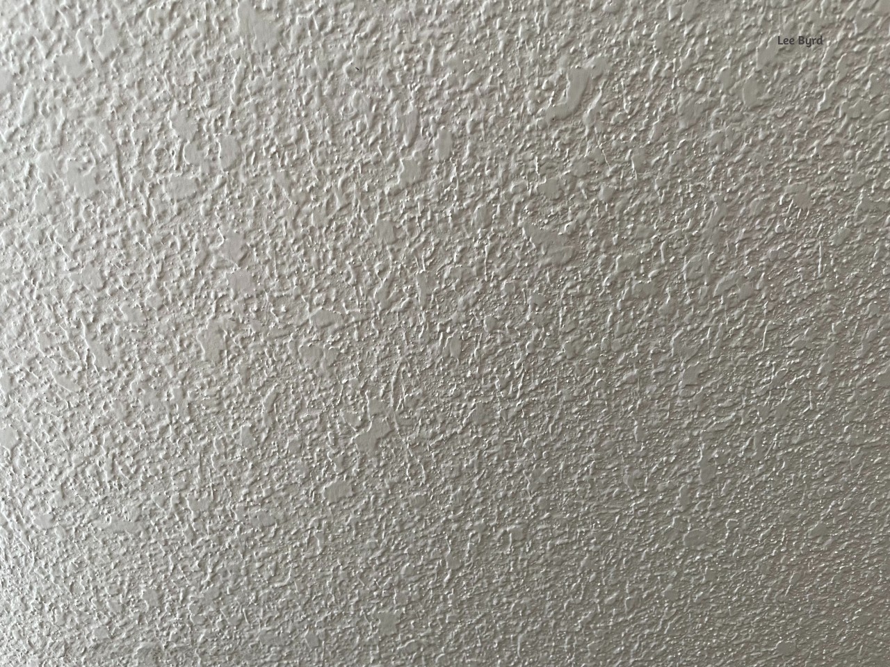 Soft off-white wall with gentle texture, creating a quiet, spacious feeling of stillness and presence.