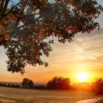 A quiet country path at sunset with a wooden bench beneath a tree, warm golden light stretching across an open landscape. Image by Bru-nO on Pixabay