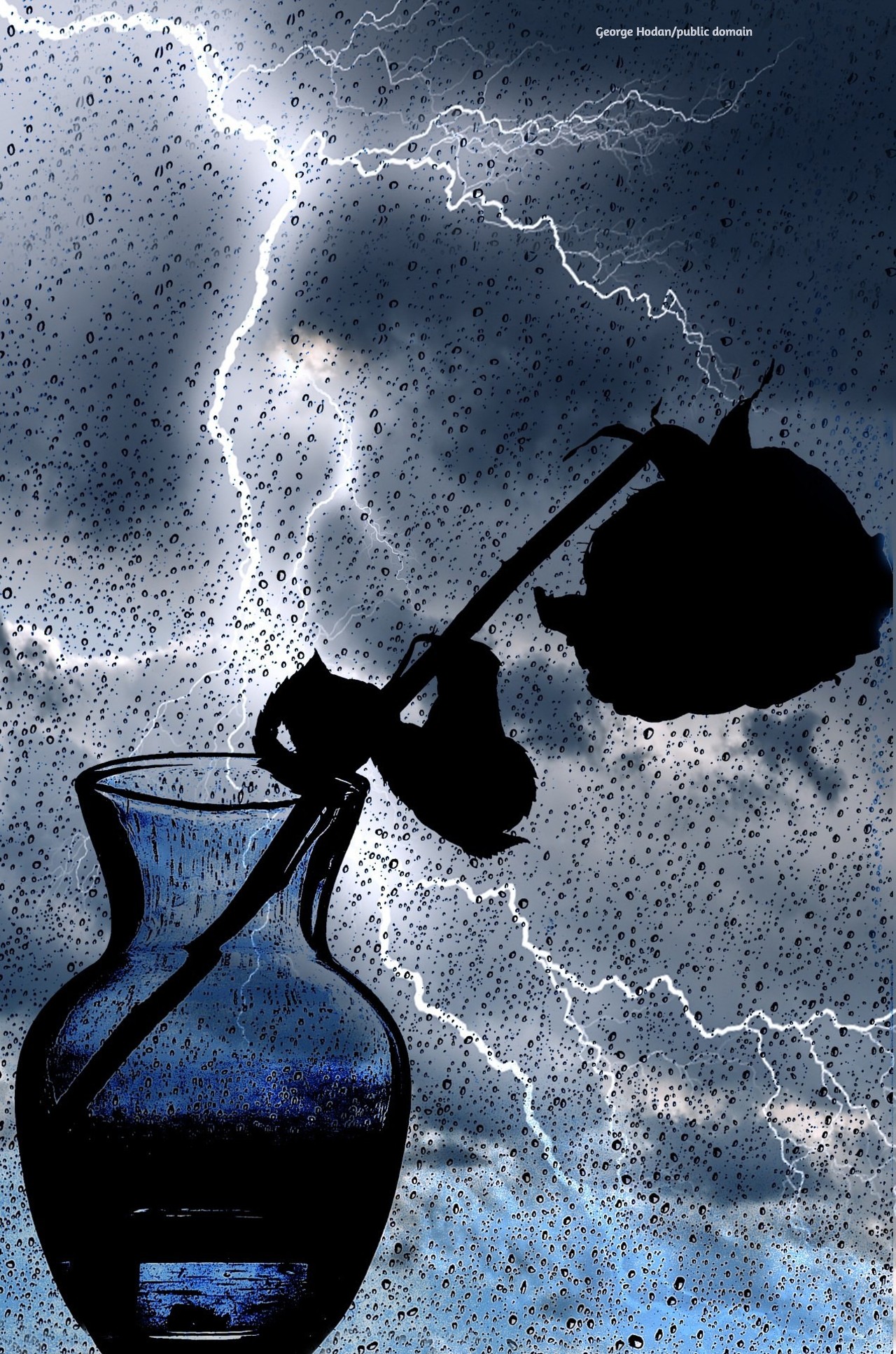 A dead rose and a storm.